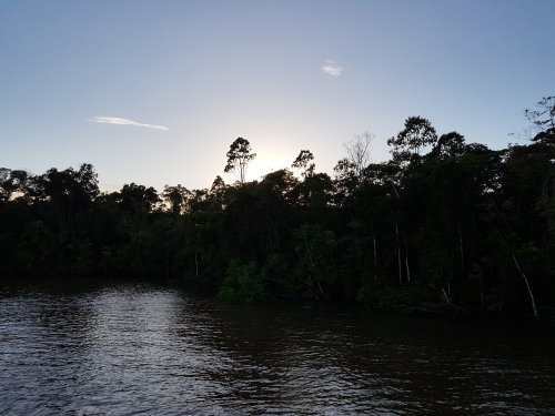 Lever de soleil sur l'Amazone