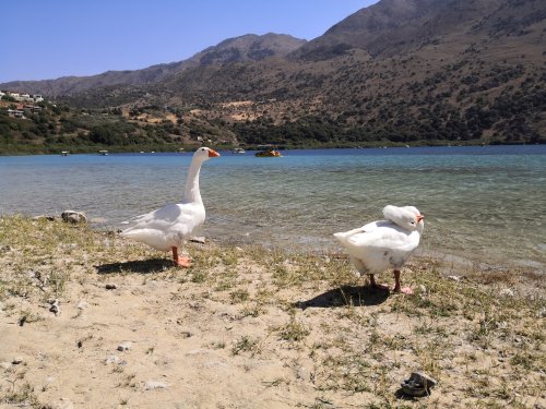 Grèce - Crète - Lac de Kournas
