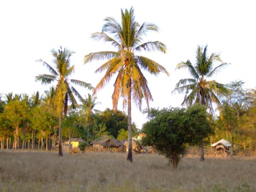 Gili Meno