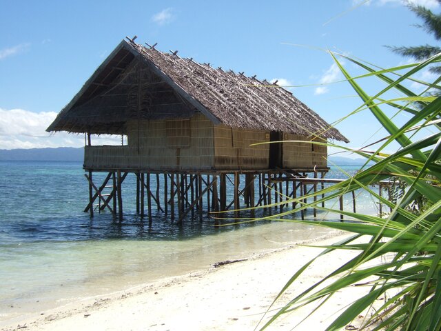 Papua_Paysage La maison