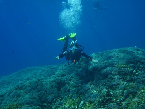 DIVER Flying on coral