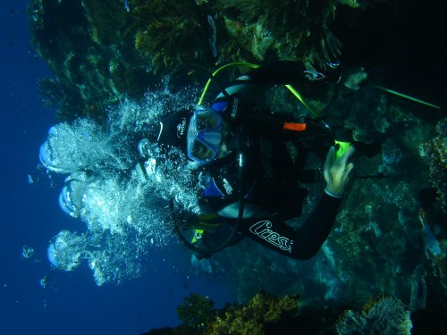 DIVER Olivier cherche