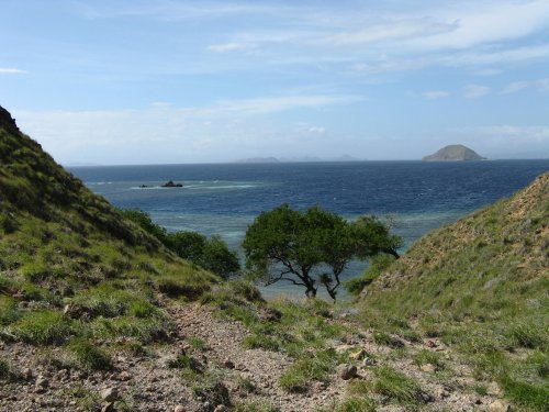 Paysage du Komodo