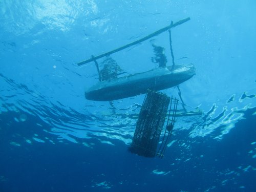 Pêche au panier