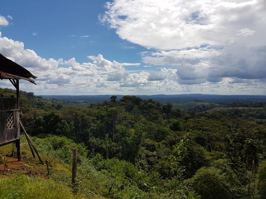 2017 Guyane