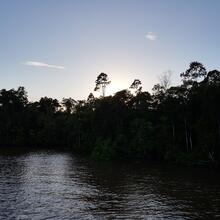 Lever de soleil sur l'Amazone