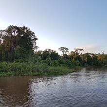 Paysage Amazone