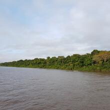 Paysage Amazone