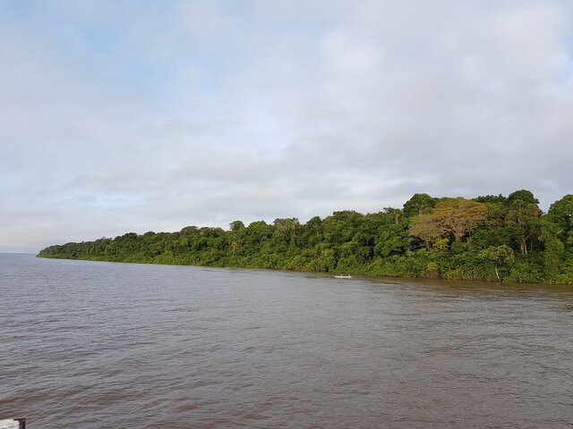 Paysage Amazone