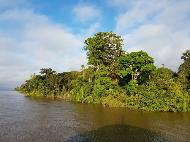 Paysage Amazone