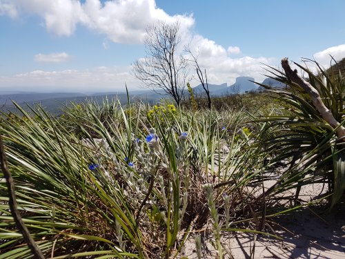 Chapada Diamantina, Lençois - Cachoeira da Fumaça