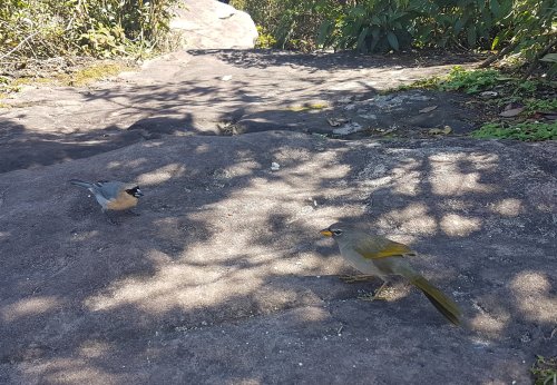 Chapada Diamantina, Lençois - Cachoeira da Fumaça