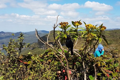 Chapada Diamantina, Lençois - Cachoeira da Fumaça