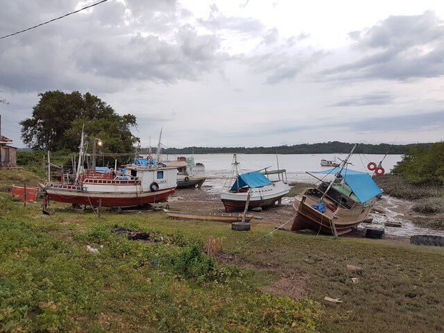 Ilha do Marajo