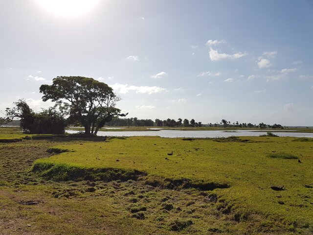 Ilha do Marajo