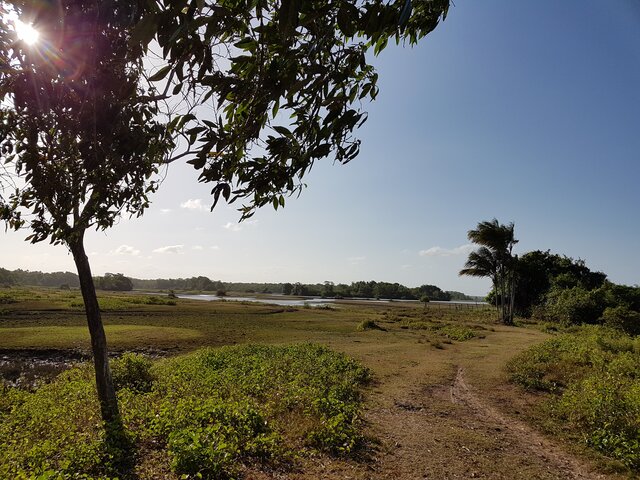 Ilha do Marajo