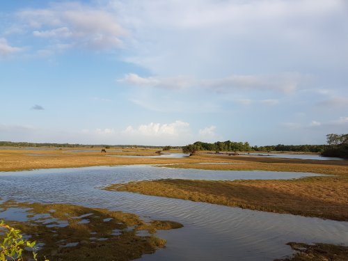 Ilha do Marajo