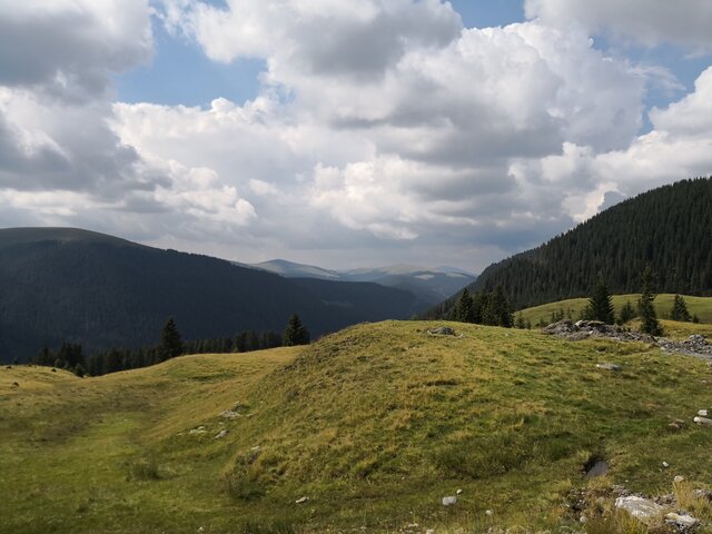 ROUMANIE - Transalpina