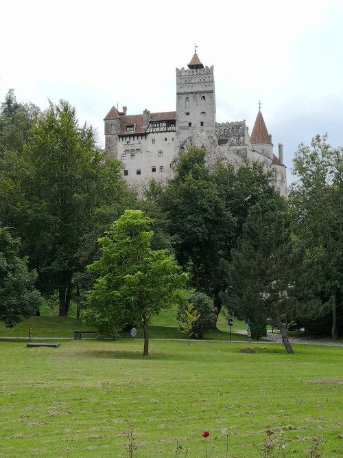 ROUMANIE - Transylvanie - Chateau de Bran