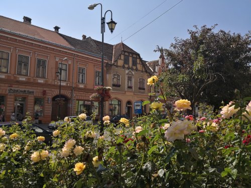 ROUMANIE - Sighisoara