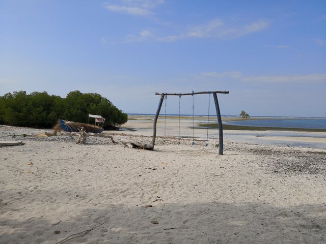 Alor, Mangrove beach