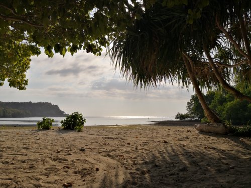 Alor, Mangrove beach