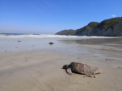 Sumba, Pantai de l'est