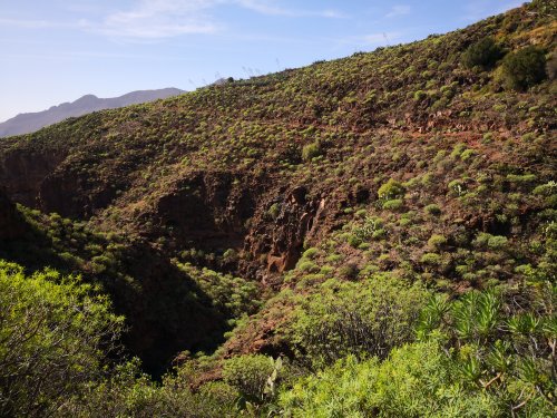 Depuis Aguimes dans le Barranco de Las Vacas