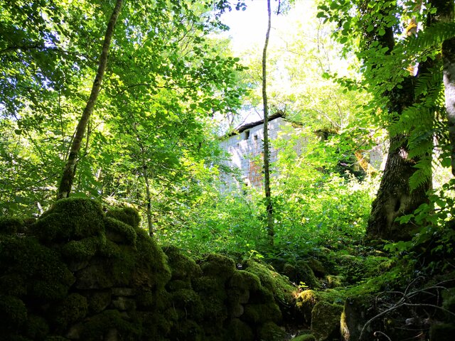 Corrèze - Autour du Lac de Viam