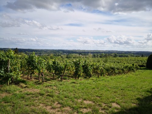 Maine et Loire - Roche aux moines