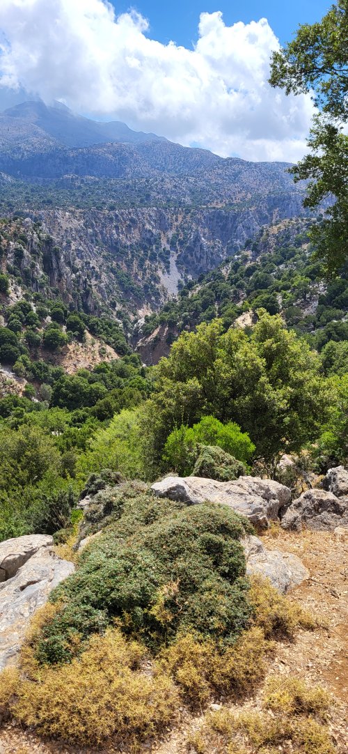 Sur la route vers le plateau du Katharo