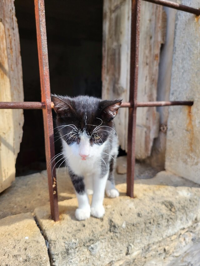 Un de nos squatteurs, aka Trouduc